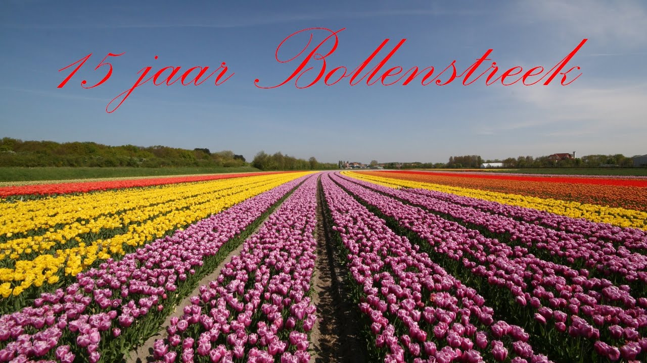 15 jaar bloembollen in de Bollenstreek