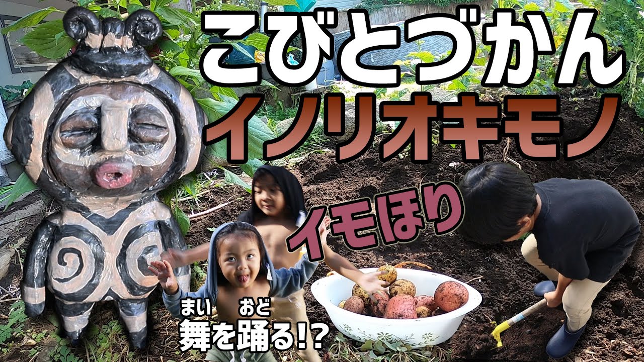 【こびとづかん】イモ掘りしてたらイノリオキモノが!!