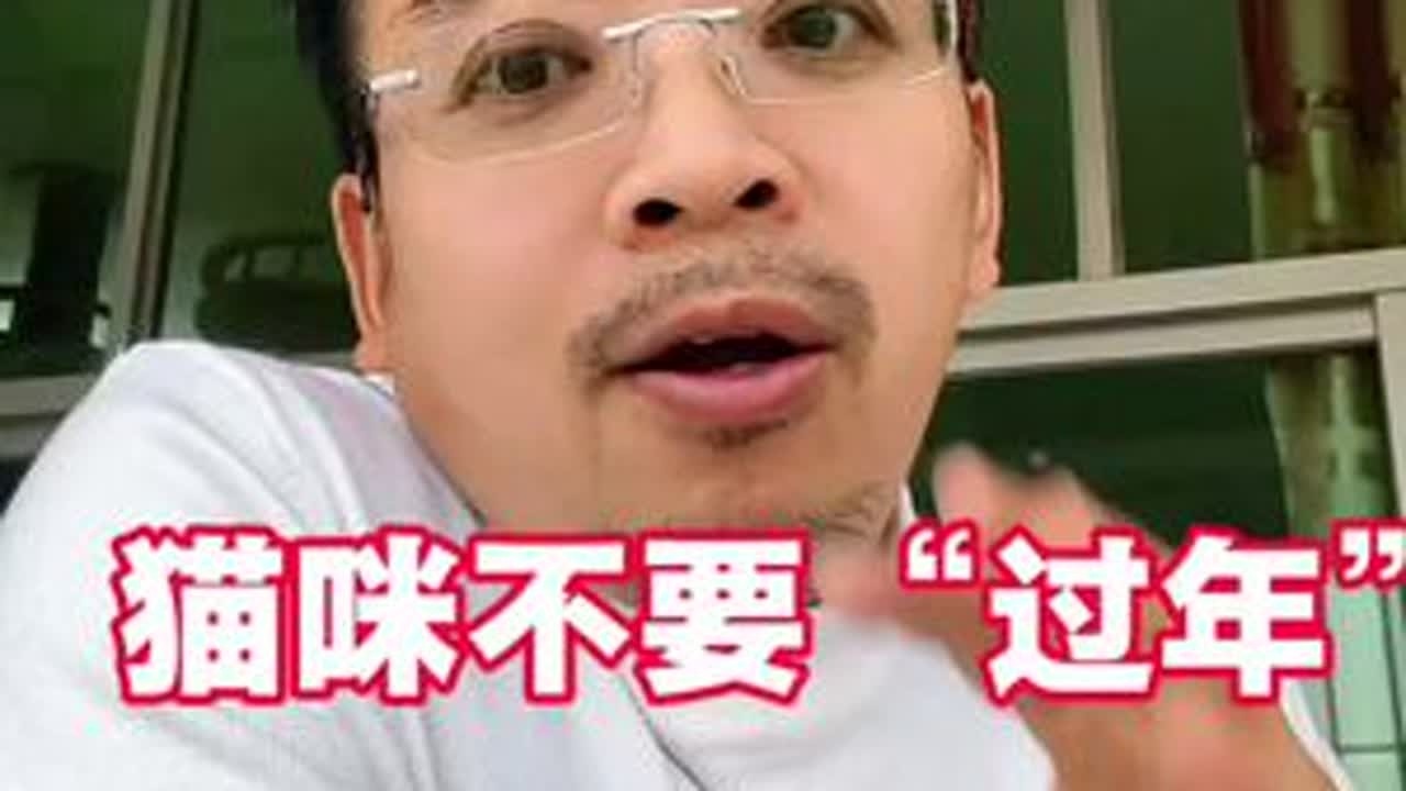 人过年，猫不“过年”#科学养猫 #养猫经验分享 #喵哥聊养猫#猫咪科普#学养猫
