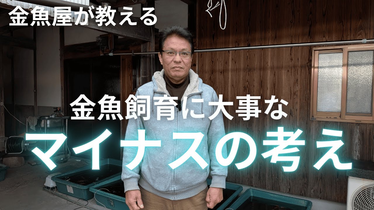 金魚飼育に大事な、マイナスの考えをお伝えします
