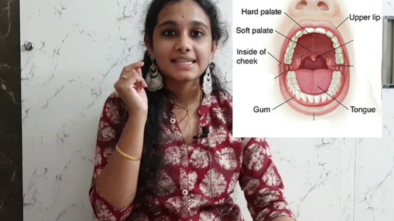 Pronunciation differences among స, శ, ష / स, श, ष || Santoshi Nallanchakravartula