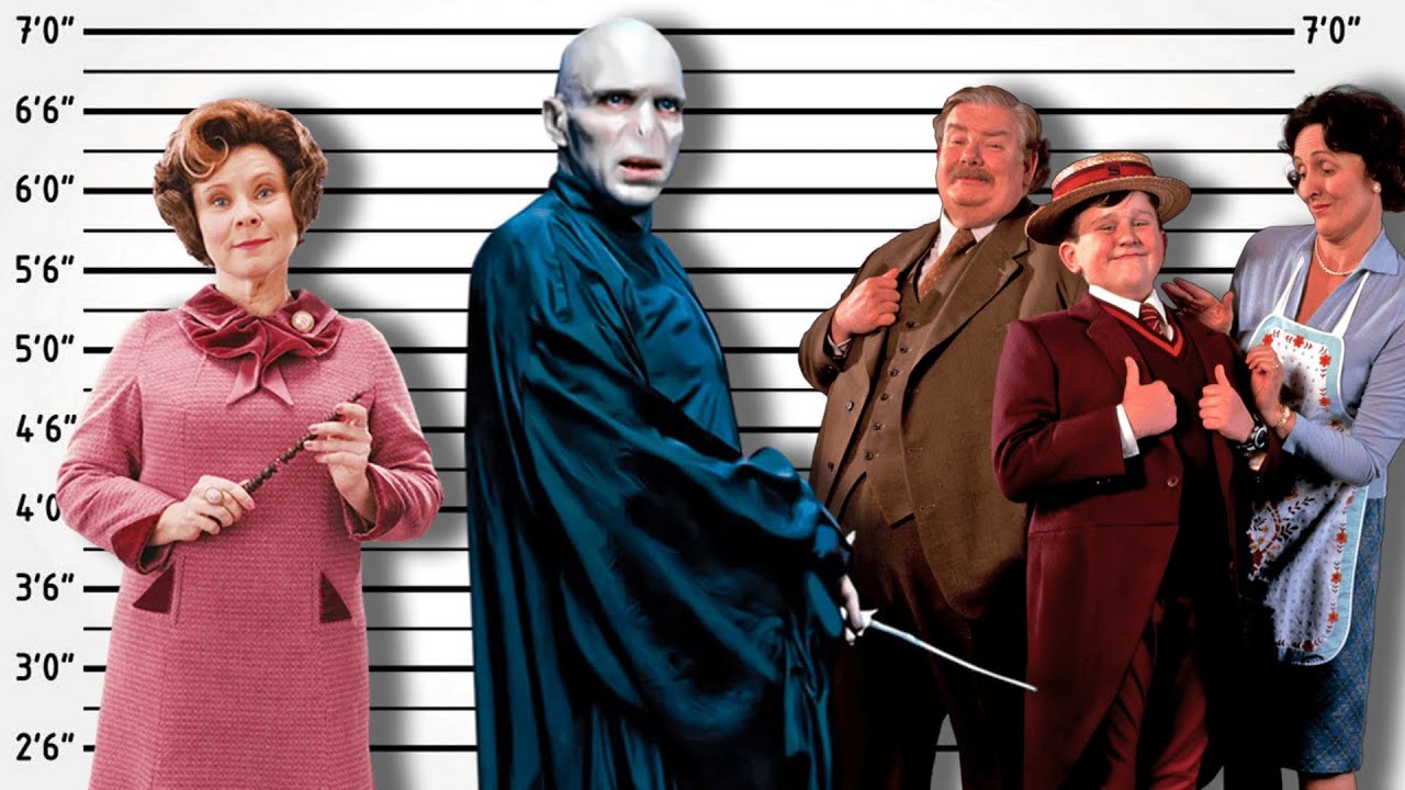 If Harry Potter Villains Were Charged For Their Crimes