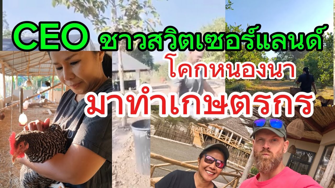 CEO. ฝรั่ง  มาทำเกษตรกร ผสมผสาน โคกหนองนา  #โคกหนองนา  #เกษตรผสมผสาน 