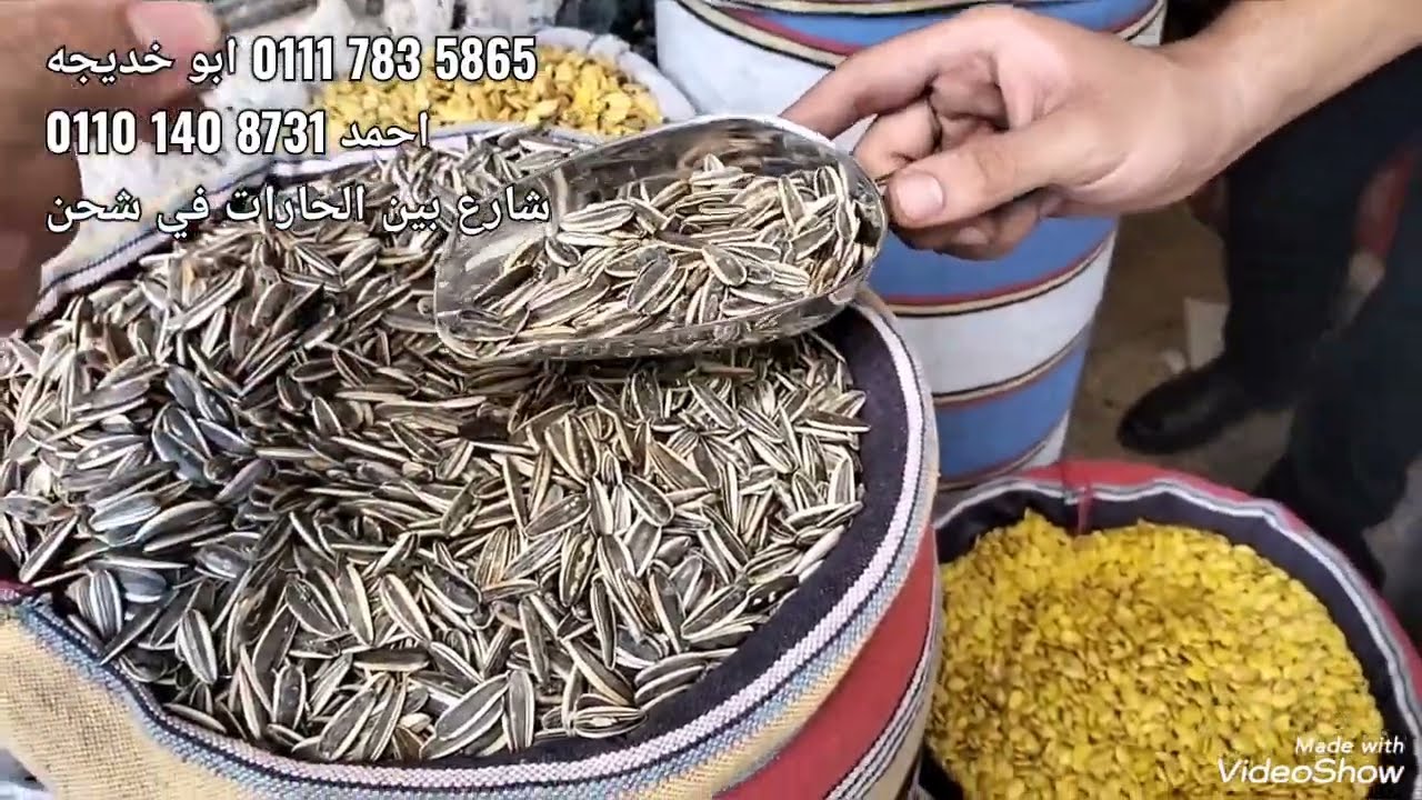 مشروع دون ماكينه ب600ج افتح مصنع في غرفه منزلك حقق ثروه والشحن عندنا‏‪‏‪‏‪من احسن الناس الكره الشقيه