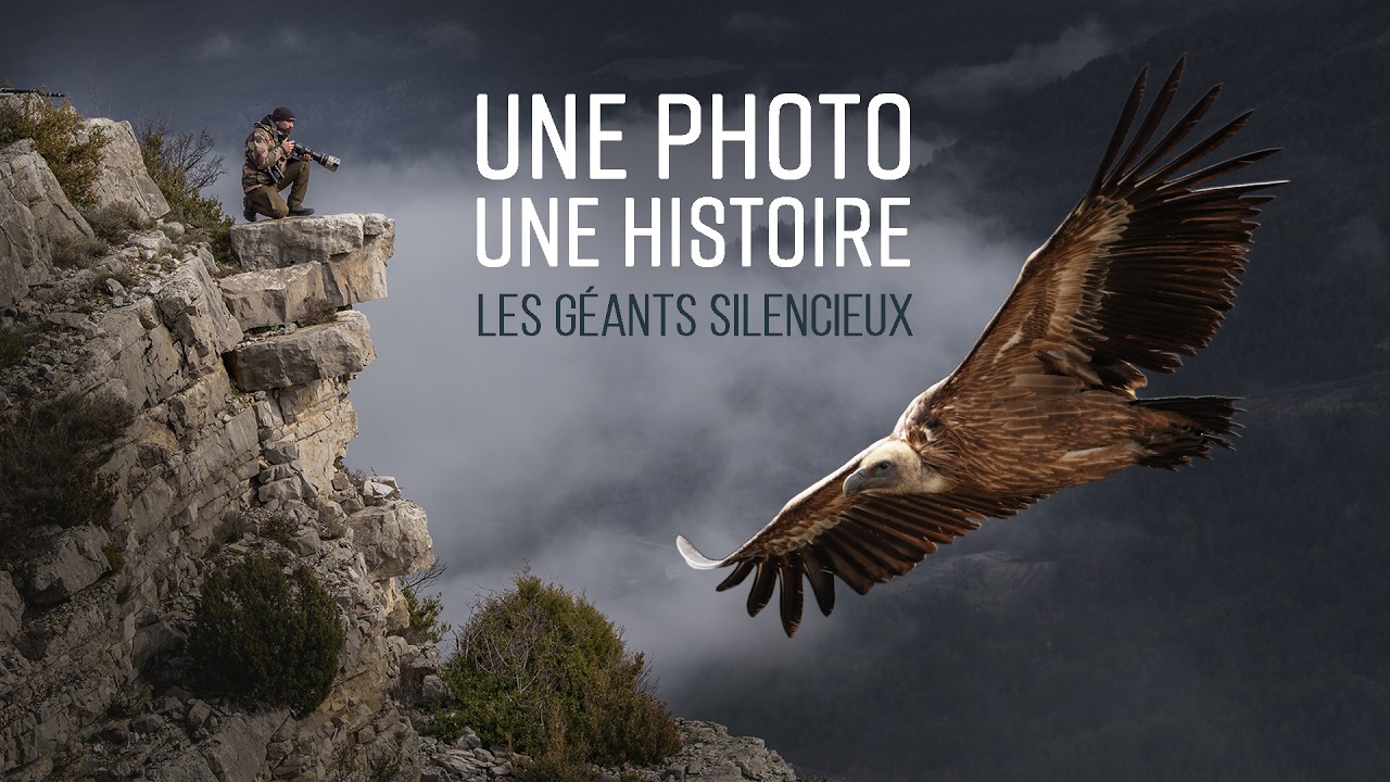 A la recherche des grands vautours fauves | Une photo une histoire | épisode 7 [ partie1 ]