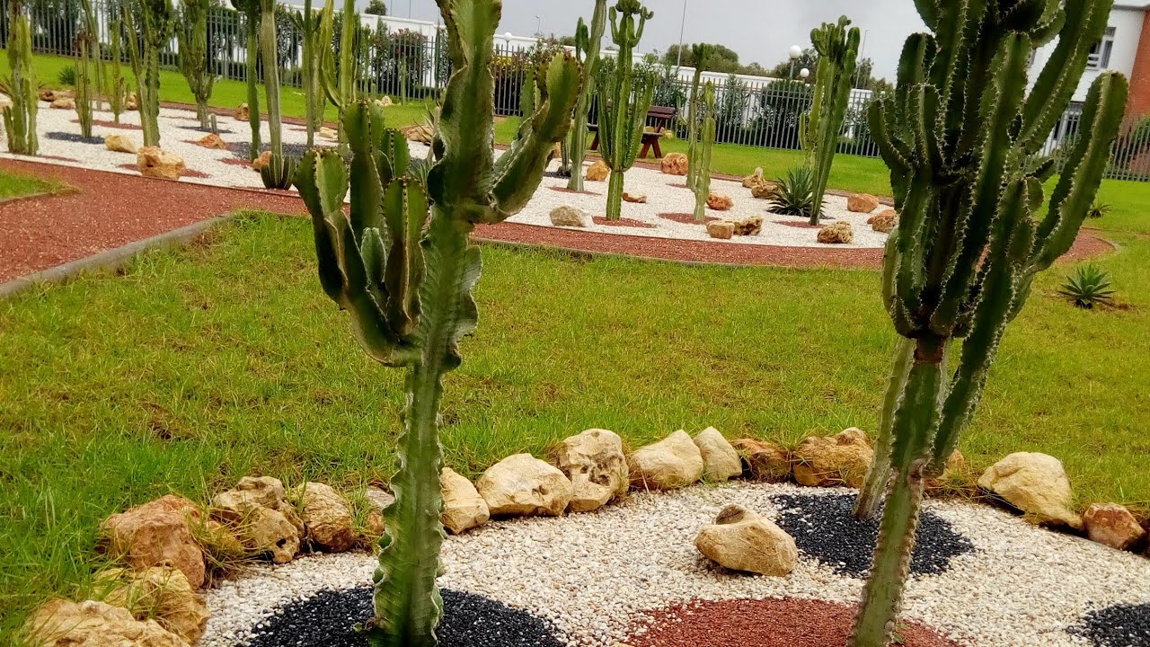 يوم معي في الحي الجامعي آسفي 💛