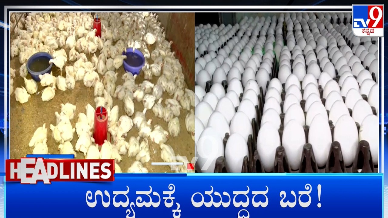 TV9 Kannada Headlines At 10PM (16-03-2026)