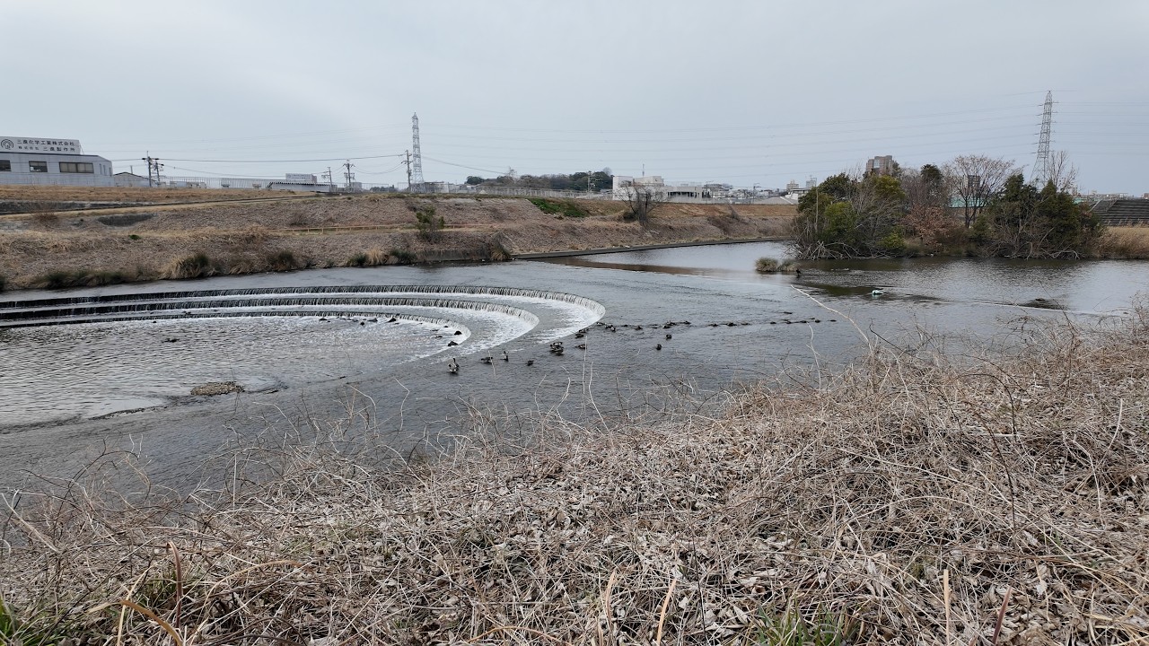 【天白川緑地】であい公園のすぐ隣、5分だけの川沿い散歩｜2026-02-24