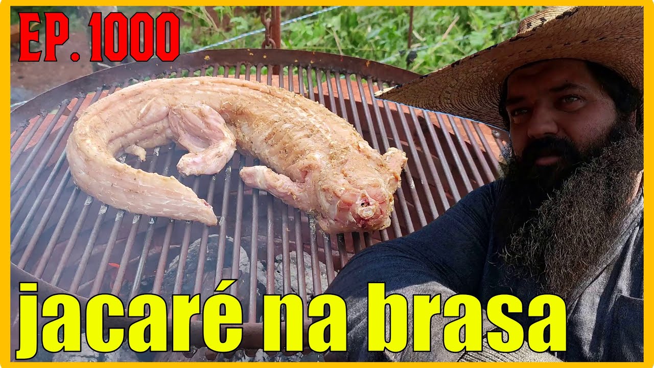 churrasco de jacaré // especial episódio 1000