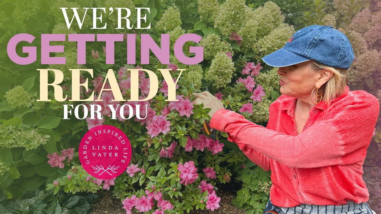 My Garden And I Are Getting Ready For You 🌿