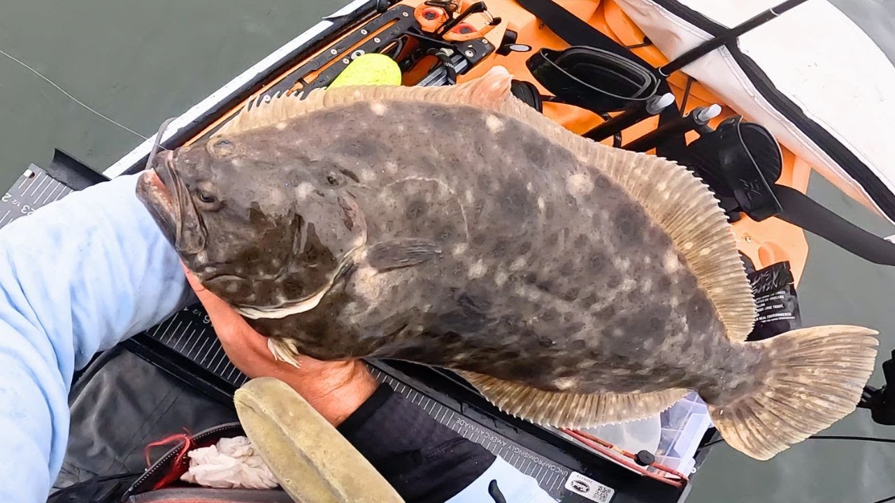 Some Quality Western LI Sound Fluke (Flounder)! NYC Waters | Kayak Fishing
