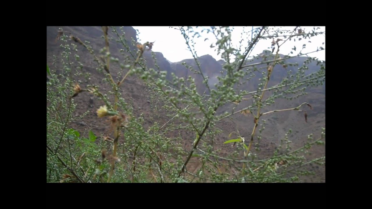 3rd Platoon Bravo Co. 1/179 INF Afghan Deployment Part 2