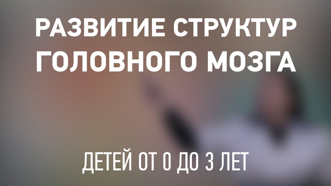 Развитие структур головного мозга у детей от 0 до 3 лет