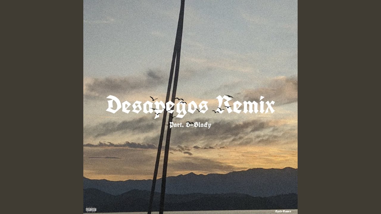 Desapegos (Remix)