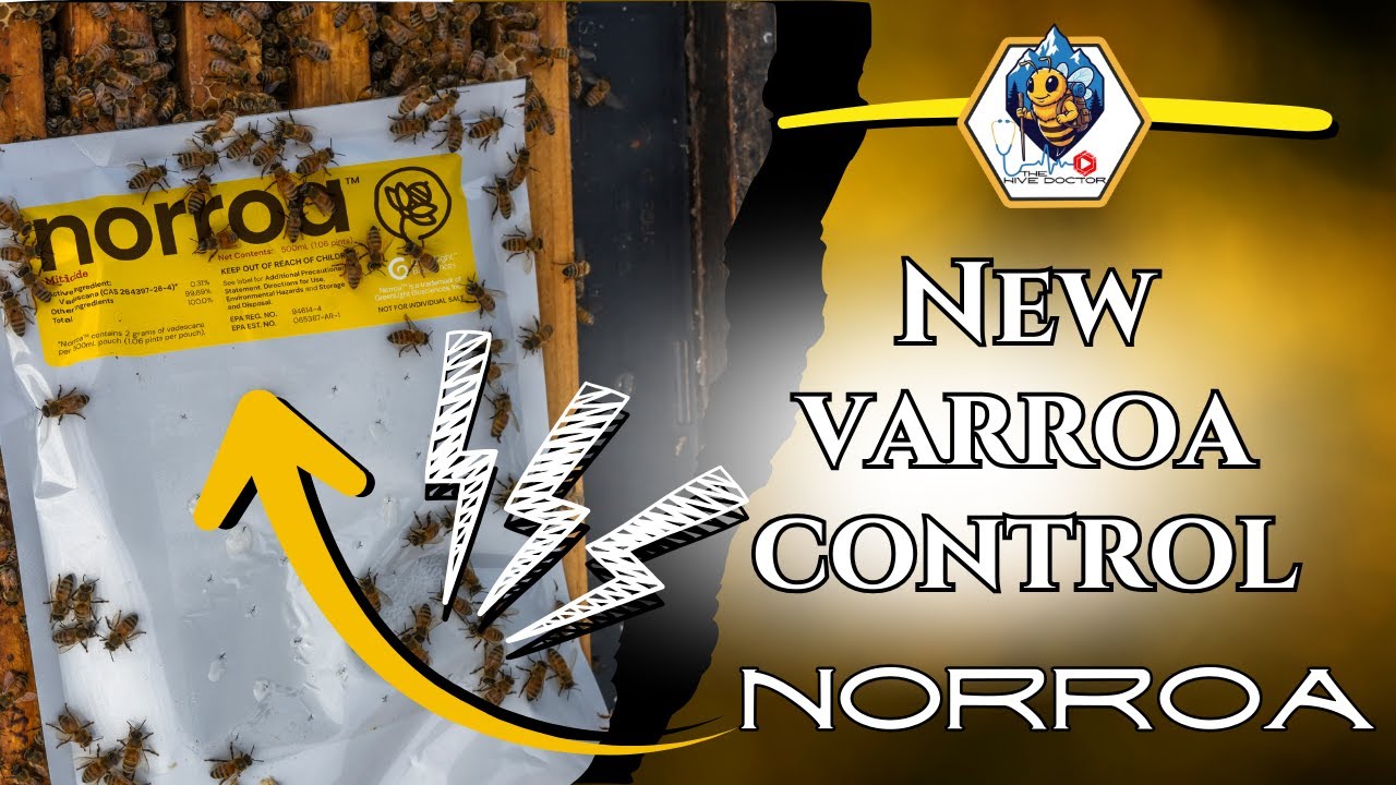 Norroa: новый метод борьбы с клещом Varroa!!!