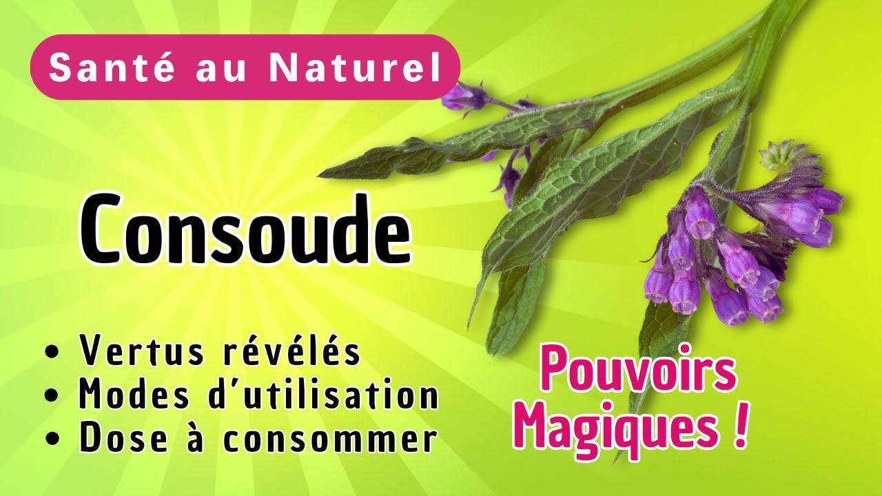 CONSOUDE MAGIQUE ! Pourquoi Tout le Monde Parle de ses Bienfaits pour la Sant&eacute; ? Les Explications !