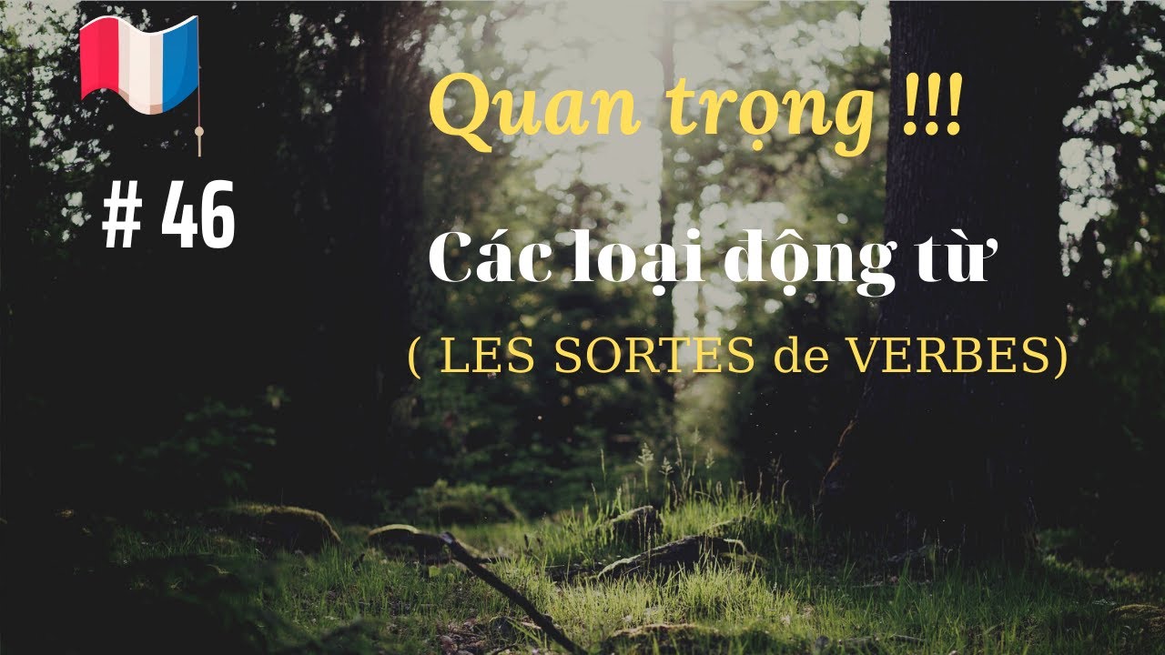 # 46 - Quan trọng  !!!  Các loại động từ ( LES SORTES de VERBES)
