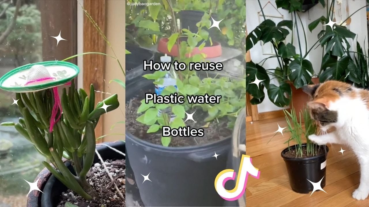 Planttok 🌱 Part 9 🌱  tiktok compilation