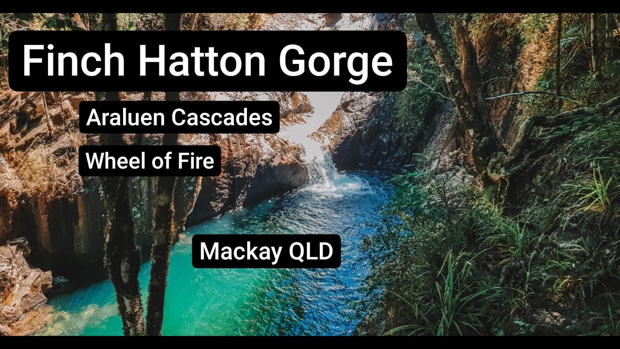 FINCH HATTON GORGE | Qld Road Trip EP02 | Araluen Cascades & Wheel of Fire | Mackay Queensland Aust