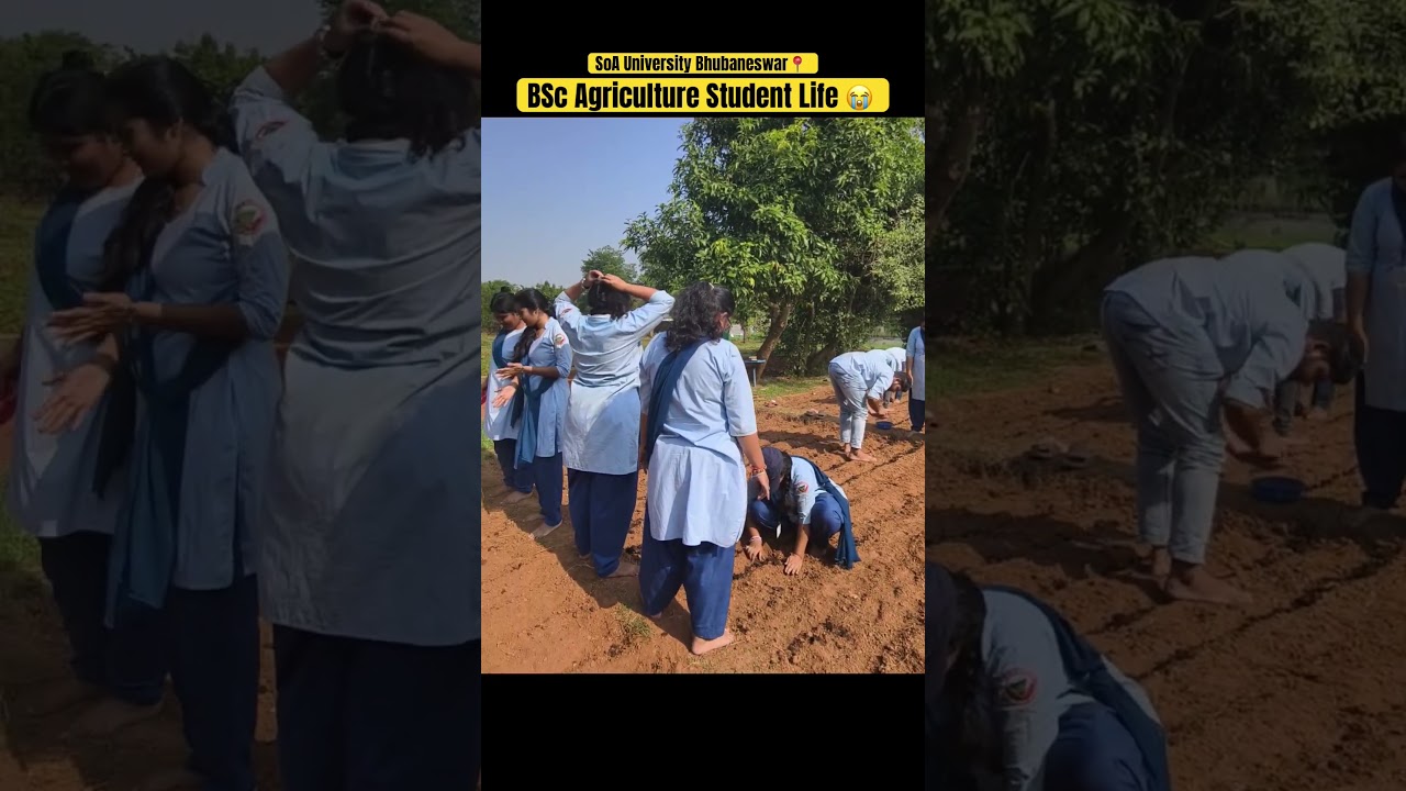 BSc Agriculture Course Details | BSc Agriculture Career and Scope