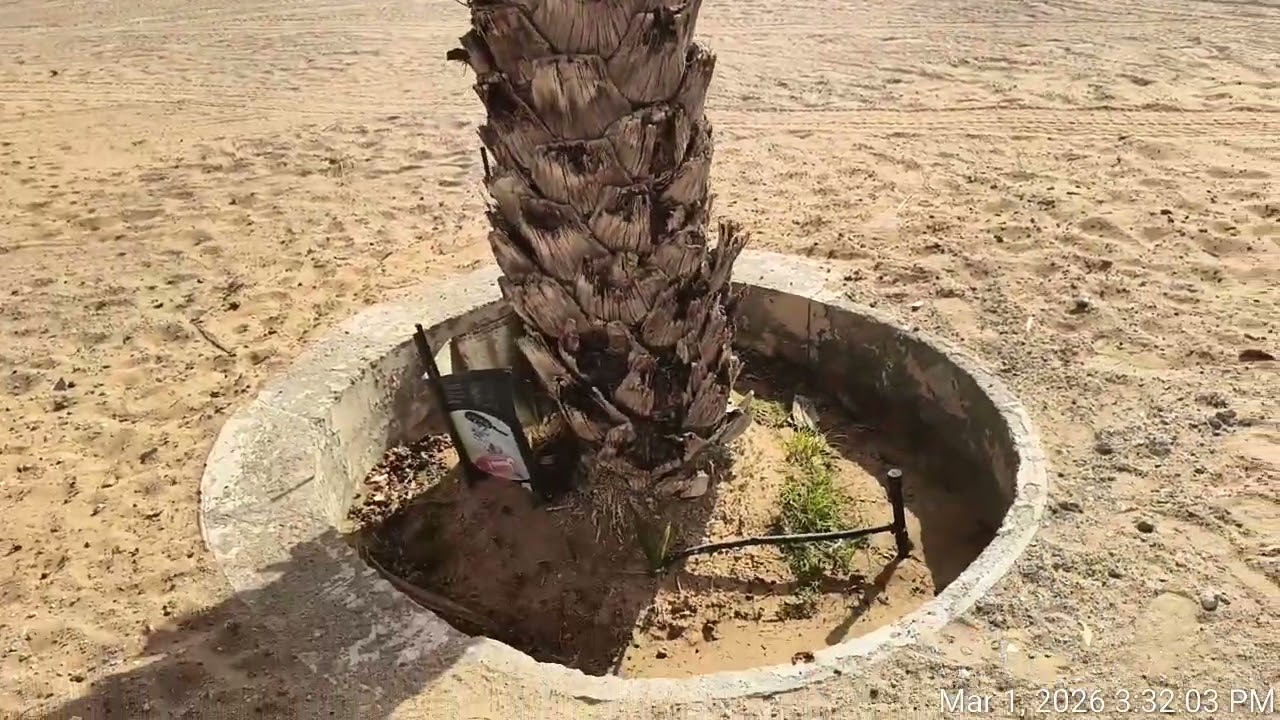 👉#VisitOman#OmanTourism#DesertResort#DesertLife#DesertVibes#LuxuryResort#TravelVlog#MiddleEastTravel