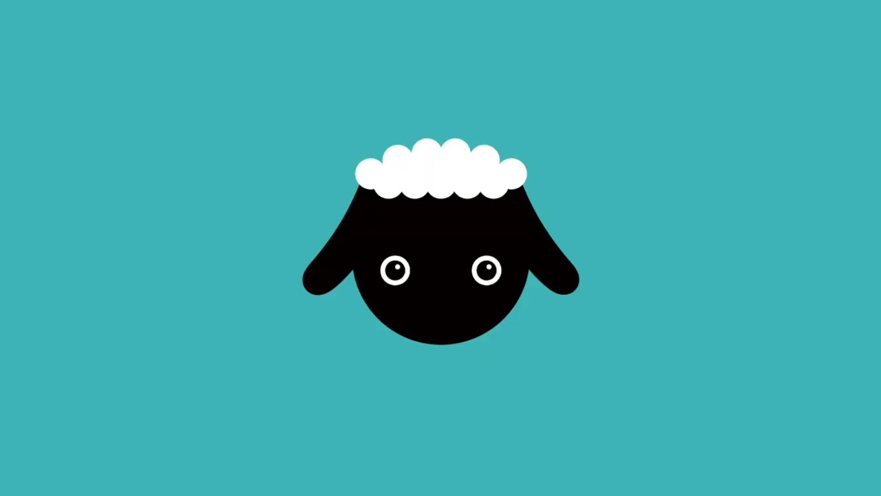 Sheep アイリッシュ・フルート 4種類を吹き比べ