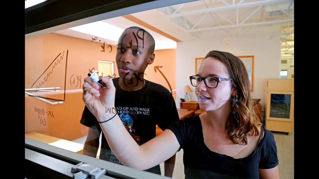 Santa Fe Institute REU Program - Apply Now!