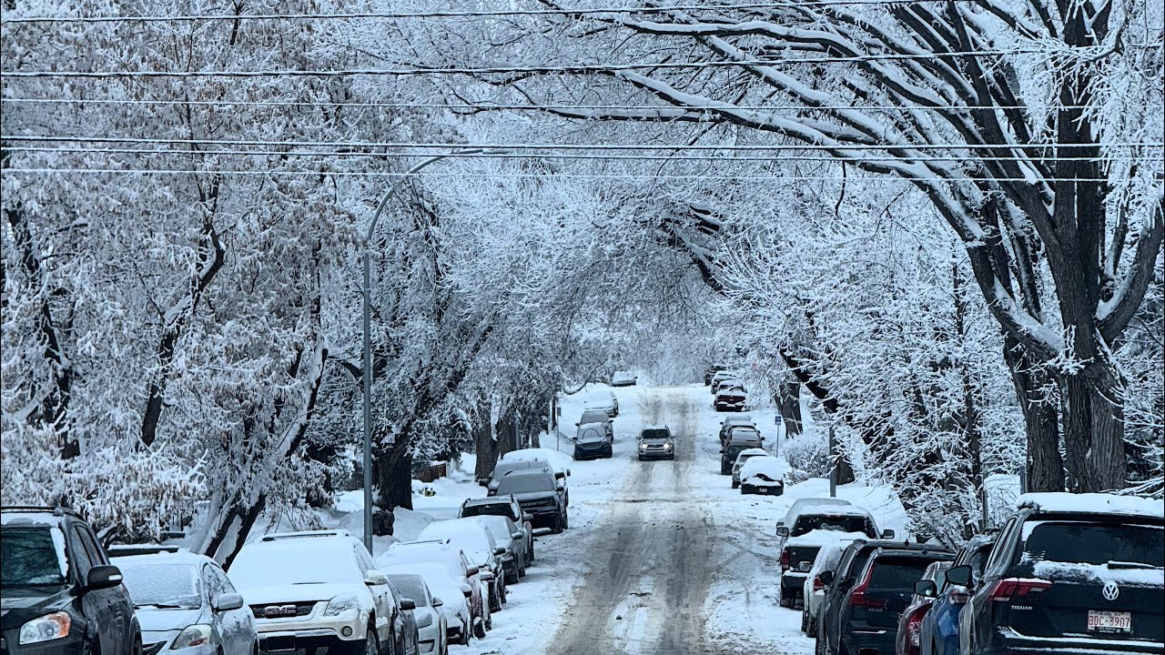 Driving in Calgary -15 | Snow Storm has passed 🥶 | everything covered white | Streets look Amazing 😍