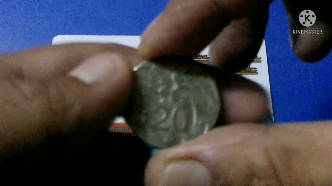 TERKENA BUATAN MANUSIA ? - Syiling 20sen Bunga Raya