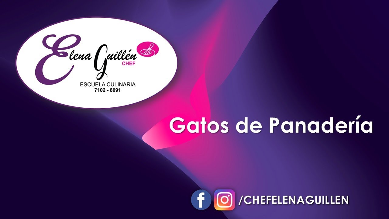 Gatos de Panadería