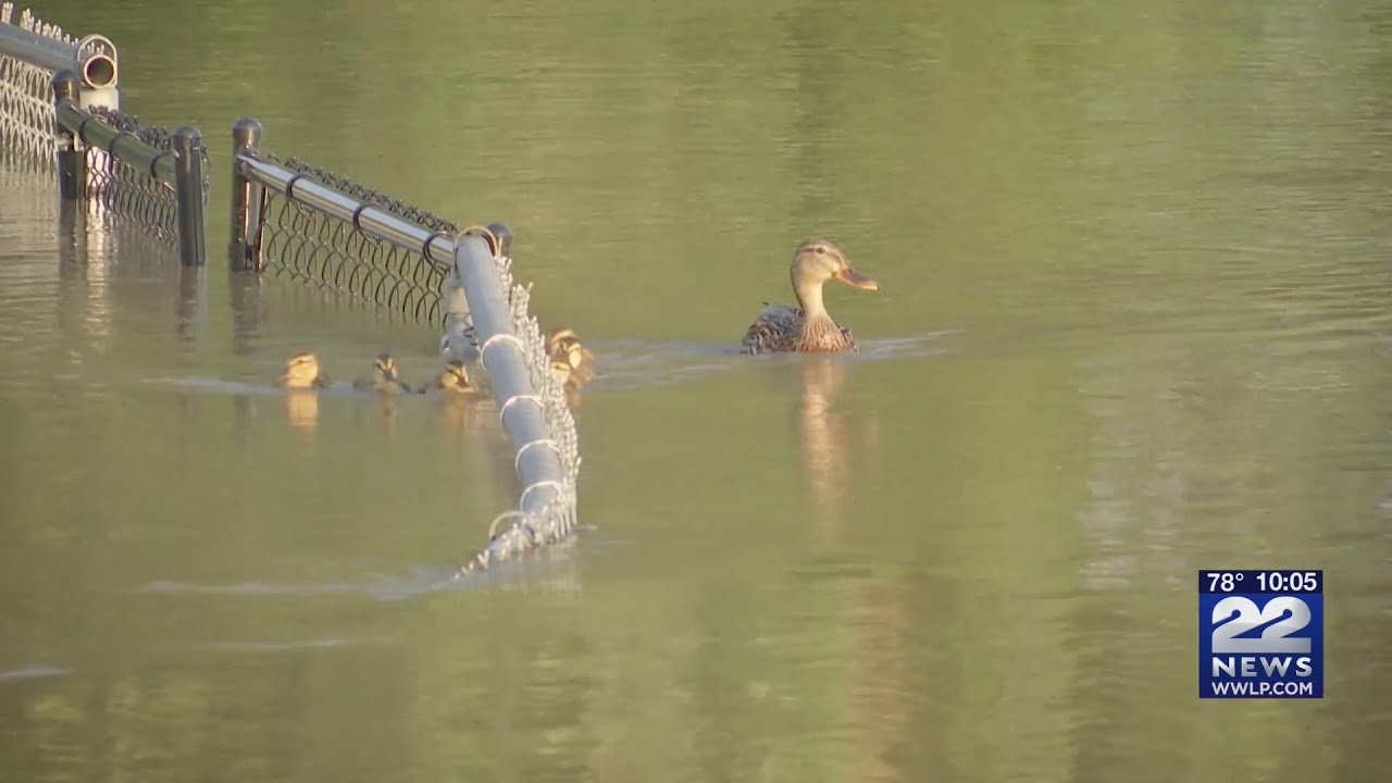 Flooding of Connecticut River creates contamination concerns