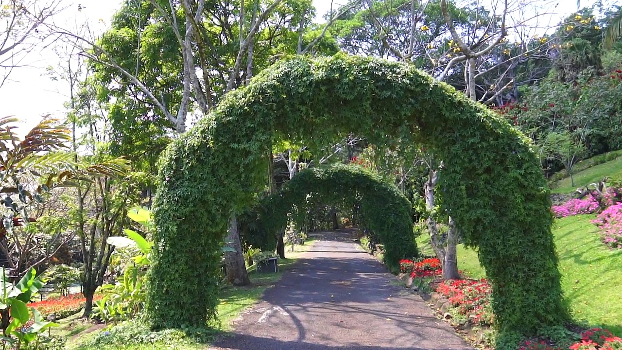 Jardín Else Kientzler