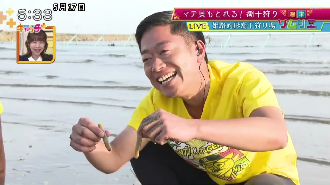 【週末ソムリエ】マテ貝もとれる！姫路的形潮干狩り場🐚