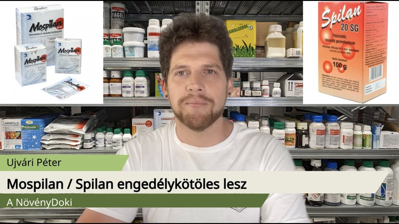 Mospilan és Spilan engedélyköteles lesz. Mivel permetez utána?