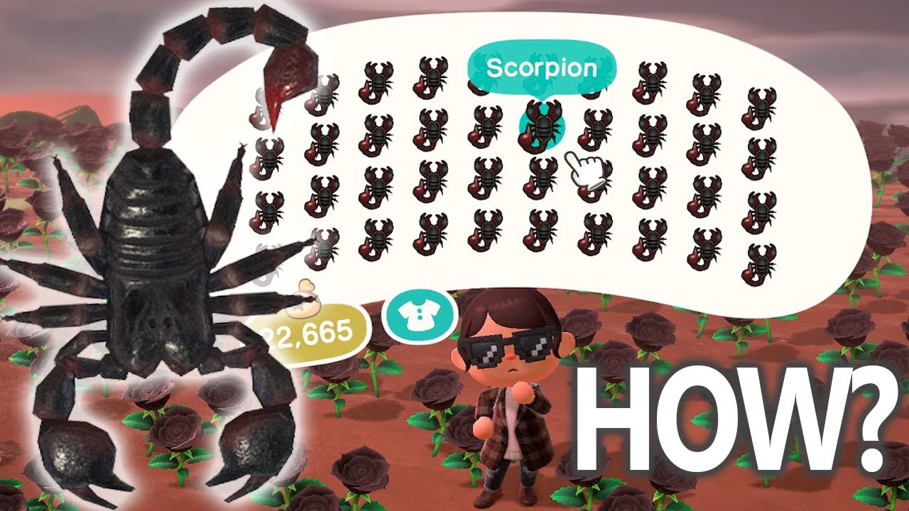 Первый раз на острове Скорпионов в Animal Crossing New Horizons