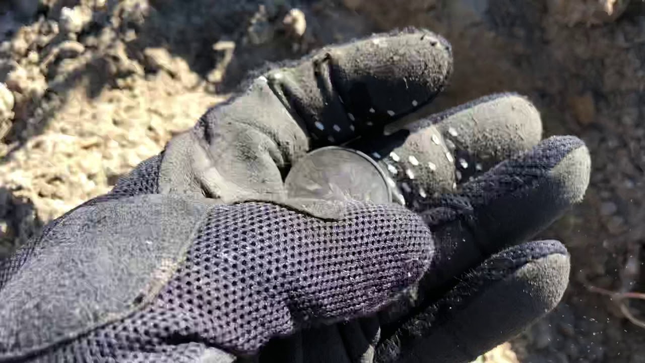 Metal detecting, found a walking liberty half dollars
