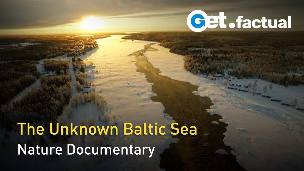 Wild Baltic Sea - Between Finland and Sweden | Nature Documentary