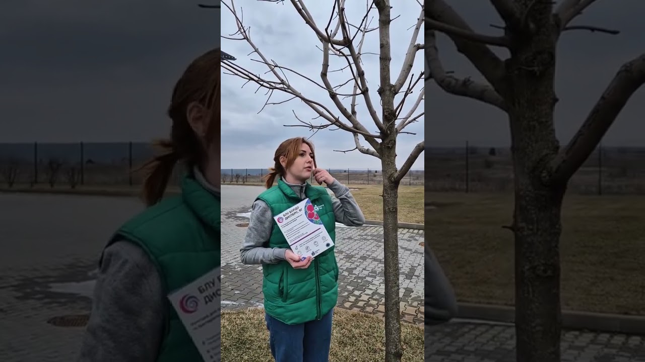 Блу Бордо Дисперс 1кг