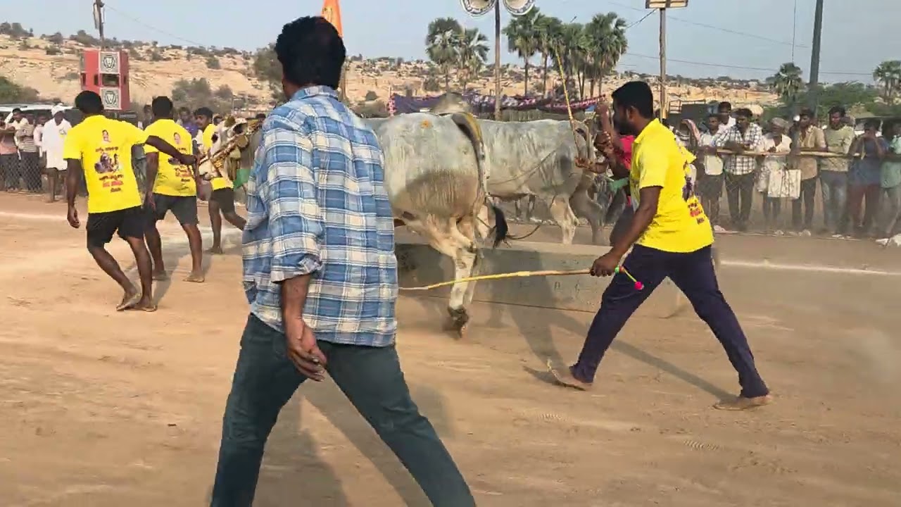 Balayya and jayasimha in yaganti