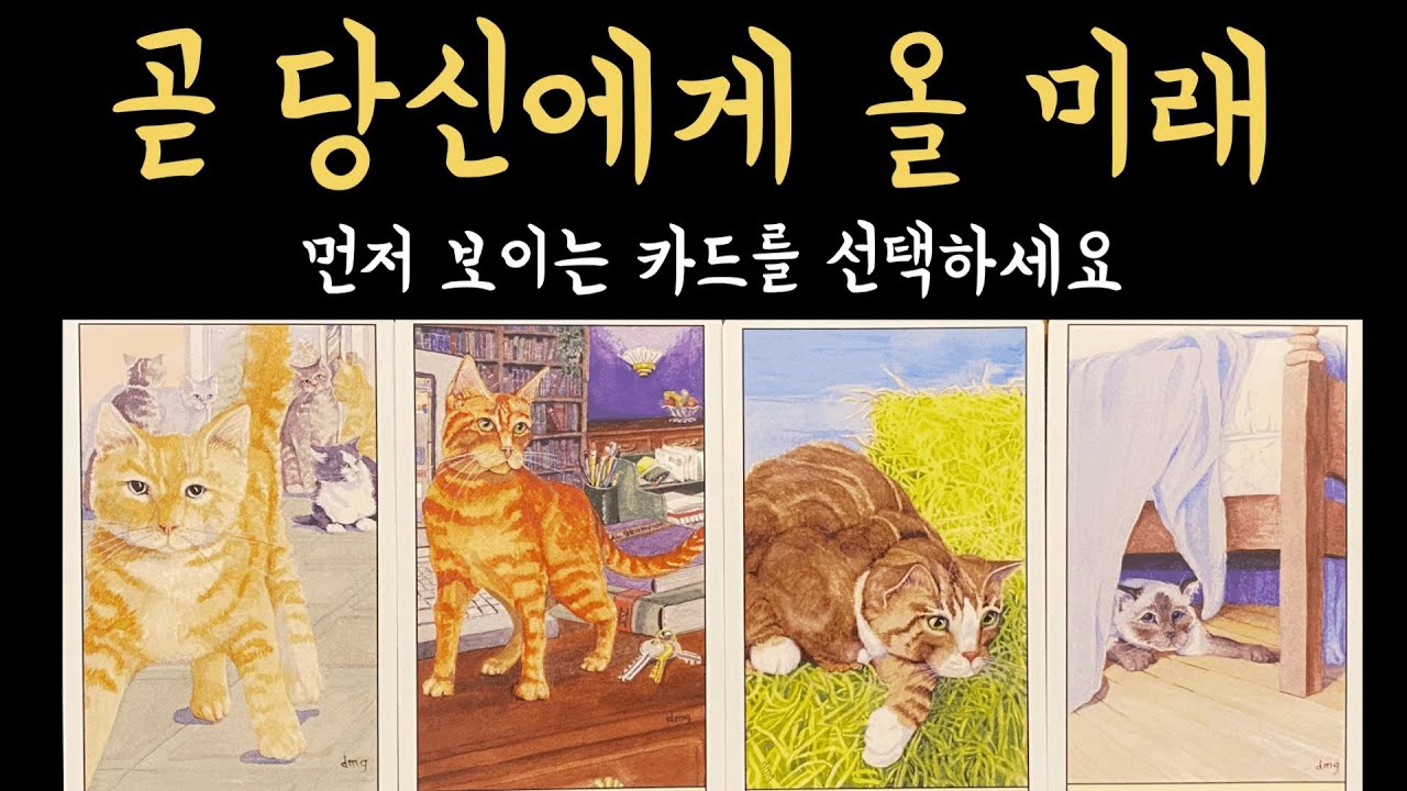[타로] 곧 당신에게 보이는 소름 돋는 이야기, 진심으로 기원합니다🙏🏻
