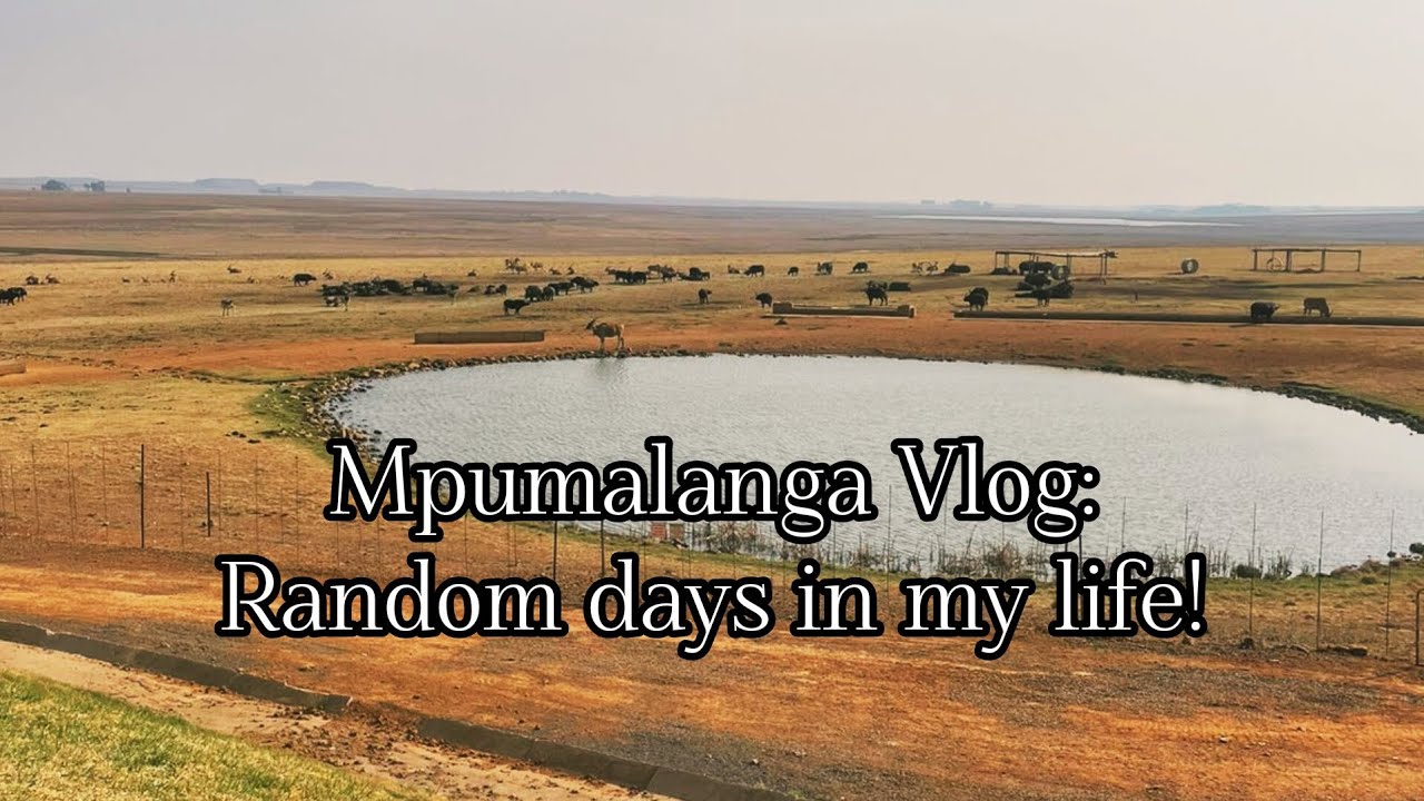 Adulting EPs: 3|| Move with me| let's go to Mbombela| Randomness in between