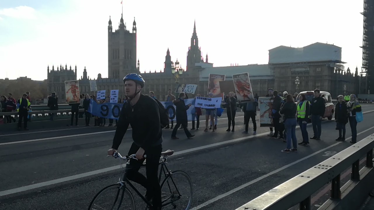 Protest London Eye Westminster Bridge #london #londonbridge #london2021 #protest