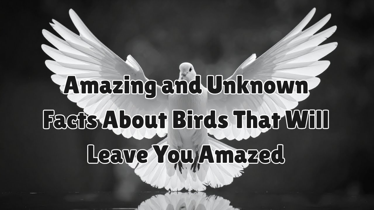 Amazing and Unknown Facts About Birds That Will Leave You Amazed