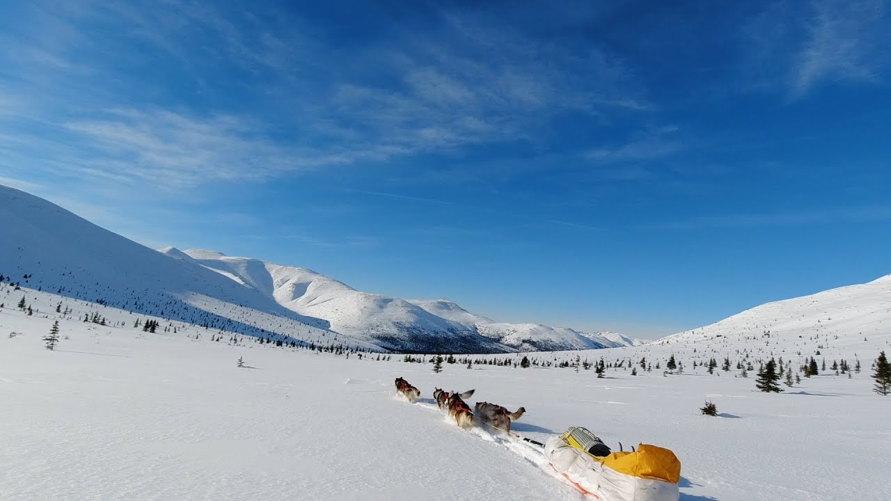 4-Day Alaska Dog-Sled Adventure! (episode 31)