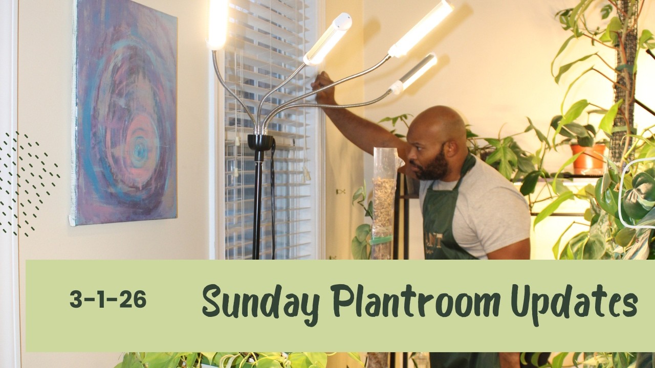 Обновление информации о котельной в воскресенье