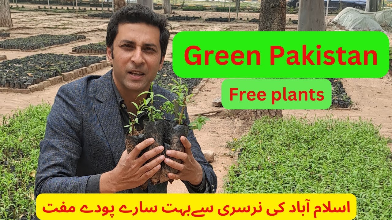 Free plants nursery Islamabad|Green pakistan|#islamabad