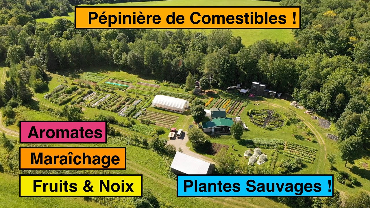 Pépinière Diversifiée ! | Prendre Racine