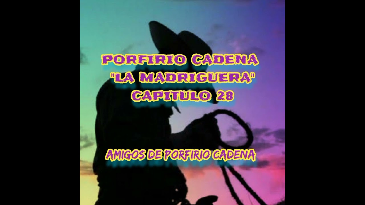 CAPITULO 28