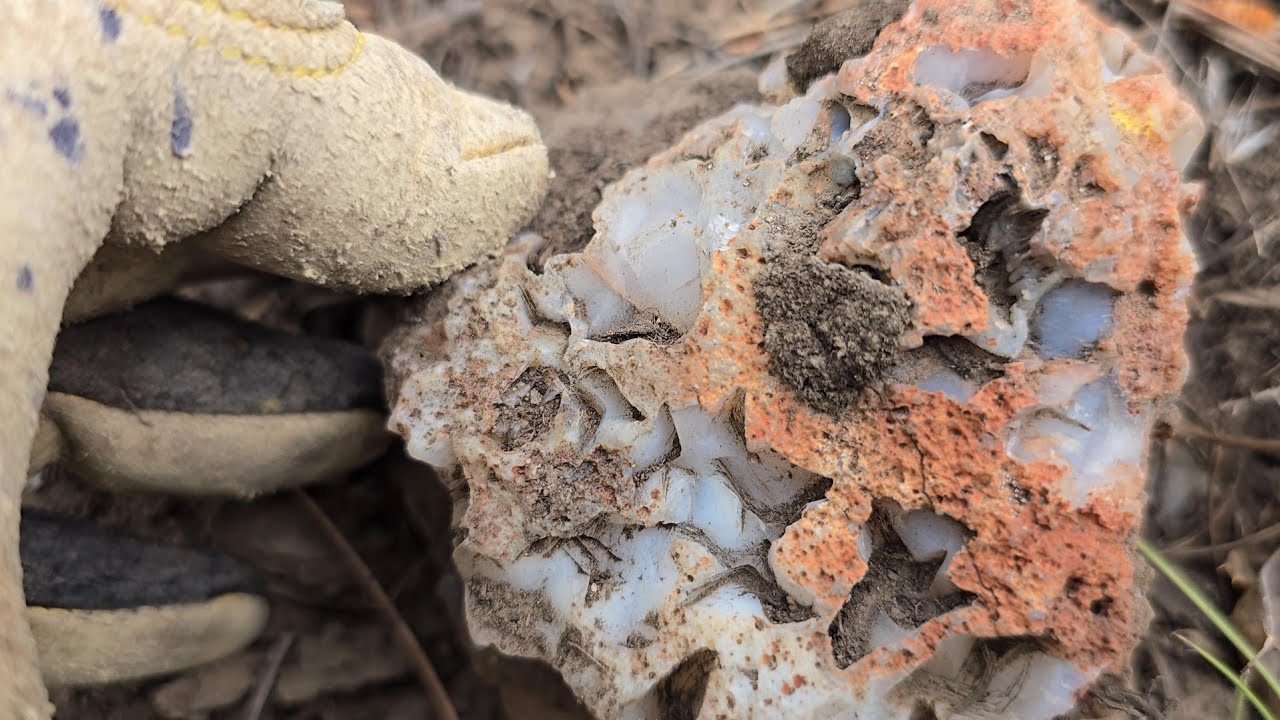 Exploring The Maury Mountains of Central Oregon Looking For Agates and Jasper With The Fonz