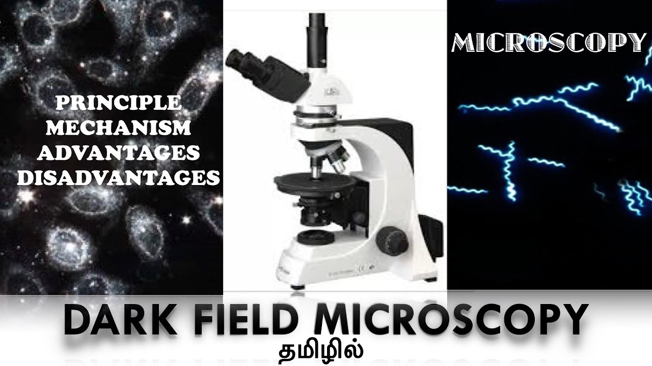 Dark Field Microscopy / Principle / Mechanism / Advantages / Disadvantages / Tamil